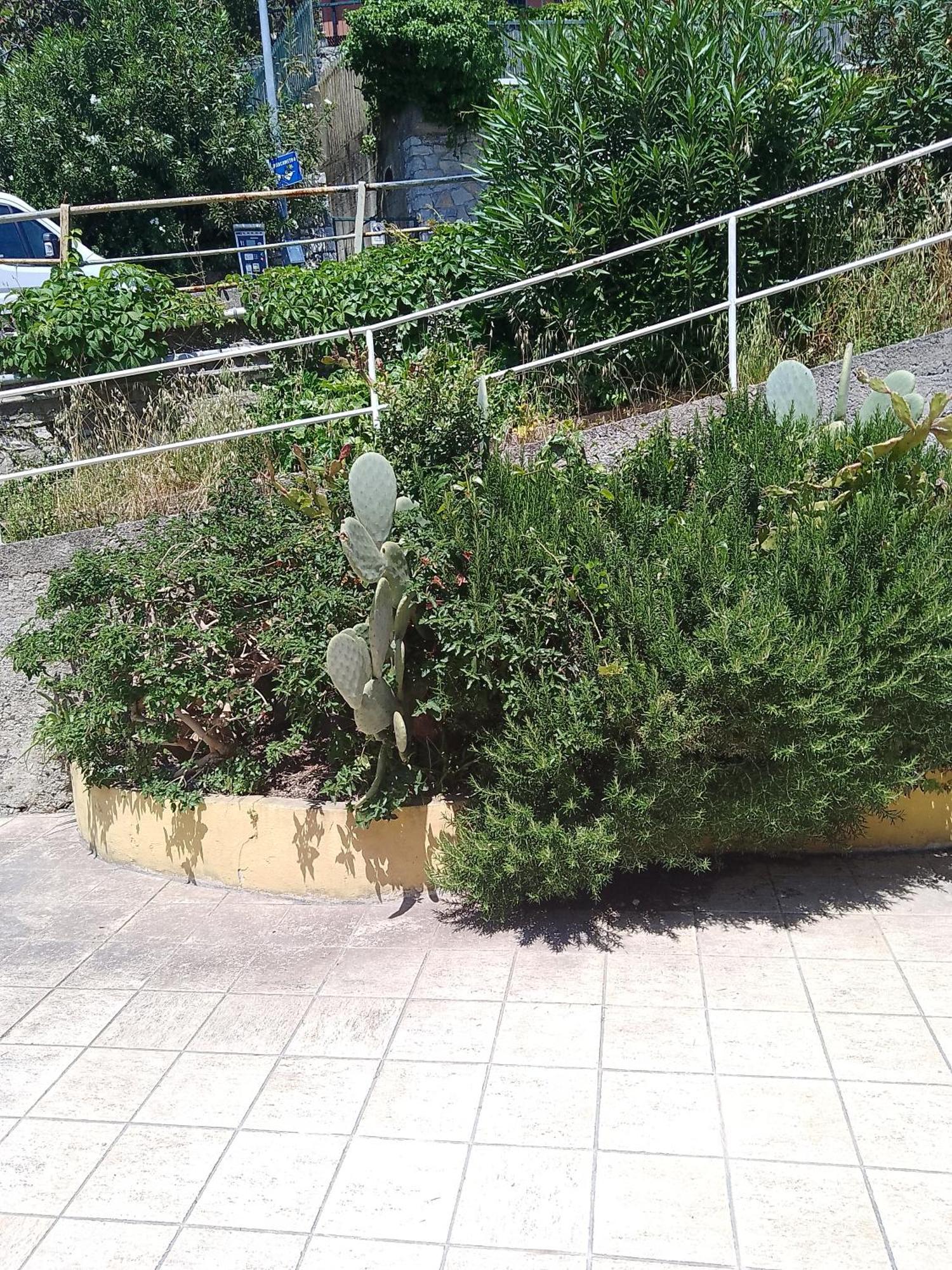 Appartamento Openspace Fronte Mare Esclusivo Due Letti Matrimoniali A Portovenere Porto Venere Buitenkant foto